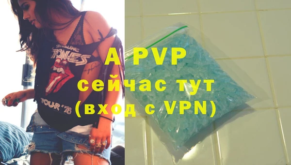шишки Новодвинск