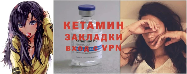 шишки Новодвинск