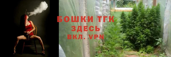 амф Новокубанск