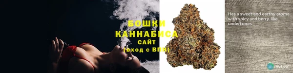 шишки Новодвинск