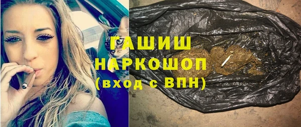 шишки Новодвинск