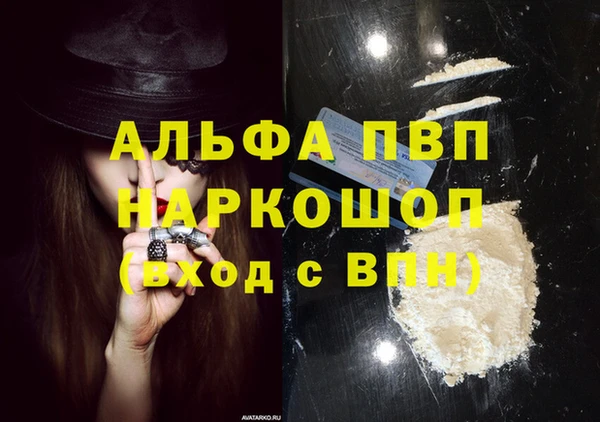 амф Новокубанск