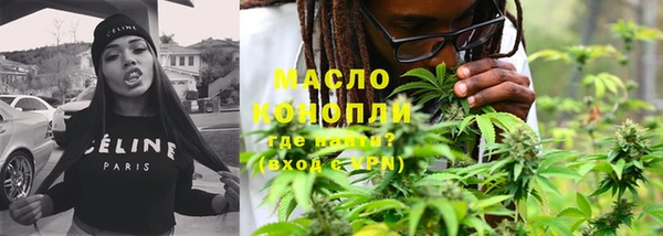 шишки Новодвинск