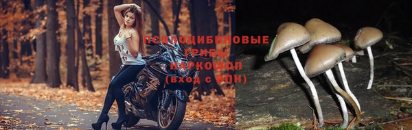 кокаин VHQ Абдулино